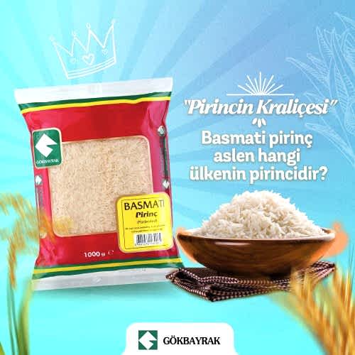 Sosyal Medya tasarımları